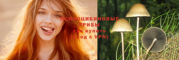 PSILOCYBIN Гусев