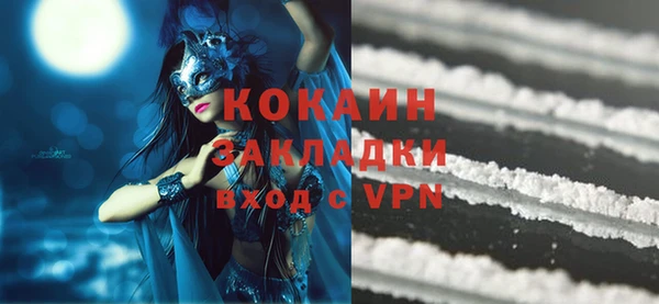 PSILOCYBIN Гусев