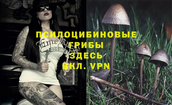 герыч Гусиноозёрск