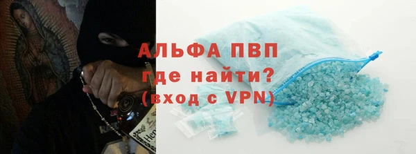 шишки Горняк