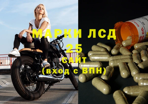 PSILOCYBIN Гусев