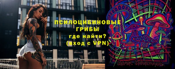 PSILOCYBIN Гусев