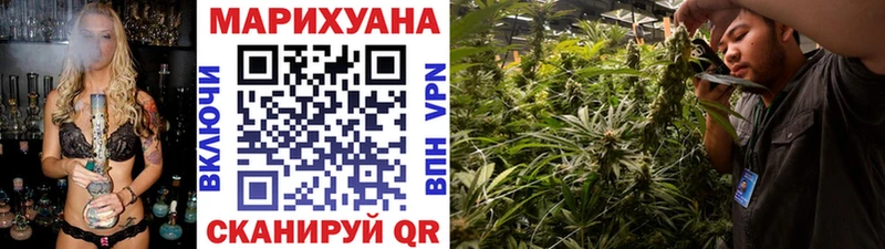 Купить где  Шенкурск  Шишки марихуана THC 21% 